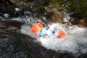 だいじ屋に投稿された画像（2023/9/11）