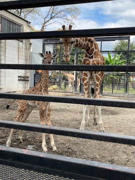 宇都宮動物園に投稿された画像（2023/9/11）