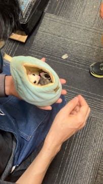 MOON LIGHT GARDENに投稿された画像（2023/9/11）