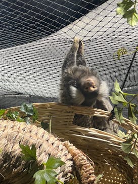 カワスイ 川崎⽔族館に投稿された画像（2023/9/11）