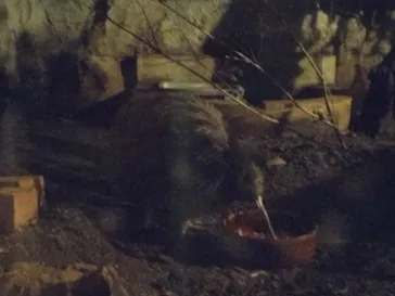 天王寺動物園に投稿された画像（2023/9/11）