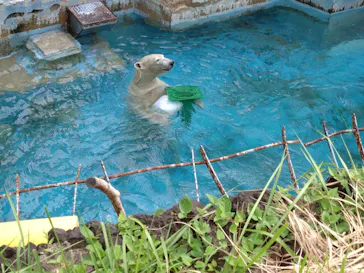 天王寺動物園に投稿された画像（2023/9/11）