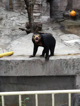 天王寺動物園に投稿された画像（2023/9/11）
