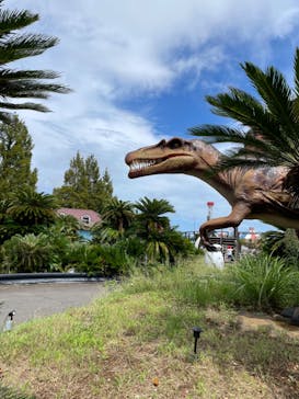 伊豆ぐらんぱる公園に投稿された画像（2023/9/11）