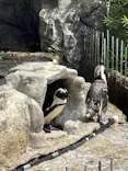 サンシャイン水族館に投稿された画像（2023/9/11）