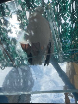 サンシャイン水族館に投稿された画像（2023/9/11）