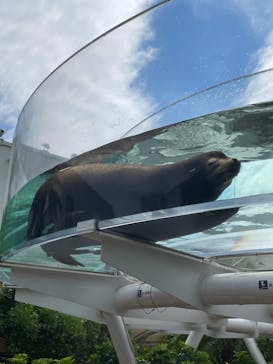 サンシャイン水族館に投稿された画像（2023/9/11）
