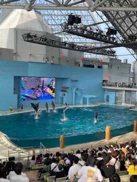 横浜・八景島シーパラダイスに投稿された画像（2023/9/11）