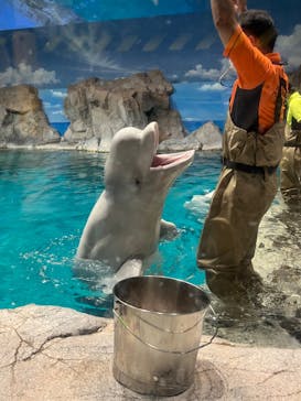 名古屋港水族館に投稿された画像（2023/9/11）