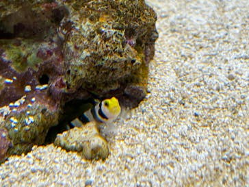 AOAO SAPPOROに投稿された画像（2023/9/11）