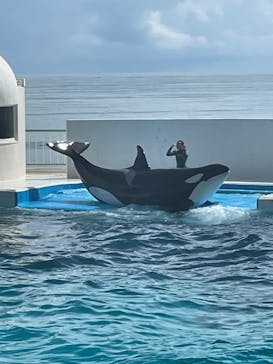 鴨川シーワールドに投稿された画像（2023/9/11）