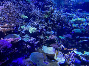 名古屋港水族館に投稿された画像（2023/9/11）