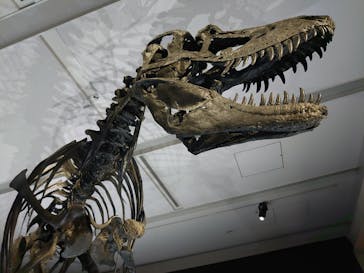 DinoScience 恐竜科学博 2023@TOKYO MIDTOWNに投稿された画像（2023/9/11）