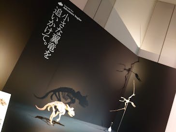 DinoScience 恐竜科学博 2023@TOKYO MIDTOWNに投稿された画像（2023/9/11）