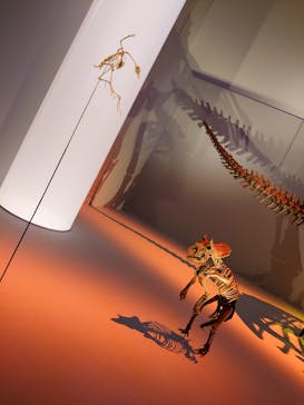 DinoScience 恐竜科学博 2023@TOKYO MIDTOWNに投稿された画像（2023/9/11）