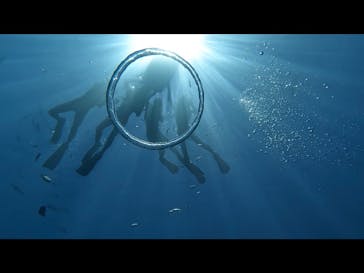 青の洞窟専門店　沖縄ダイビングショップ和に投稿された画像（2023/9/11）