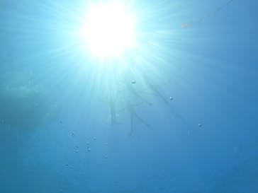 青の洞窟専門店　沖縄ダイビングショップ和に投稿された画像（2023/9/11）