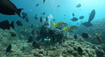 DIVING-SHOP SUNSに投稿された画像（2023/9/11）