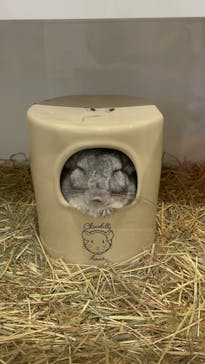 アニタッチみなとみらいに投稿された画像（2023/9/11）