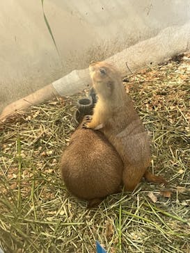 アニタッチみなとみらいに投稿された画像（2023/9/11）