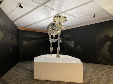 DinoScience 恐竜科学博 2023@TOKYO MIDTOWNに投稿された画像（2023/9/11）