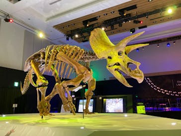 DinoScience 恐竜科学博 2023@TOKYO MIDTOWNに投稿された画像（2023/9/11）