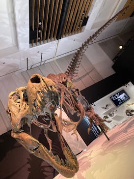 DinoScience 恐竜科学博 2023@TOKYO MIDTOWNに投稿された画像（2023/9/11）