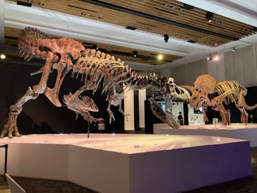 DinoScience 恐竜科学博 2023@TOKYO MIDTOWNに投稿された画像（2023/9/11）