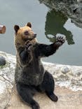 のぼりべつクマ牧場に投稿された画像（2023/9/12）