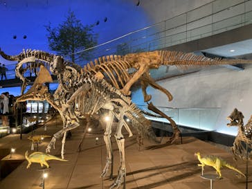 福井県立恐竜博物館に投稿された画像（2023/9/11）