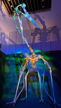 DinoScience 恐竜科学博 2023@TOKYO MIDTOWNに投稿された画像（2023/9/11）