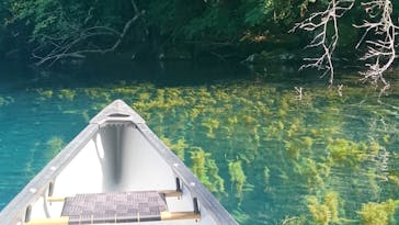 グリランド株式会社に投稿された画像（2023/9/11）