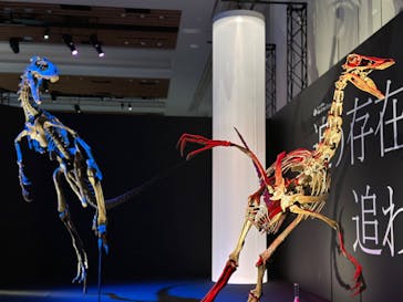 DinoScience 恐竜科学博 2023@TOKYO MIDTOWNに投稿された画像（2023/9/11）