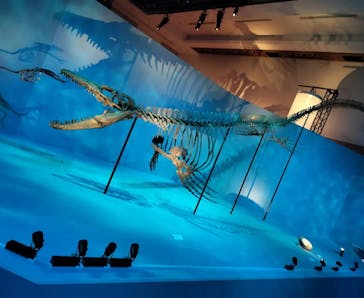 DinoScience 恐竜科学博 2023@TOKYO MIDTOWNに投稿された画像（2023/9/11）