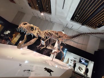 DinoScience 恐竜科学博 2023@TOKYO MIDTOWNに投稿された画像（2023/9/11）