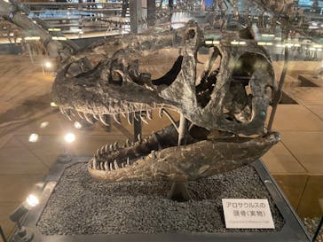 福井県立恐竜博物館に投稿された画像（2023/9/11）