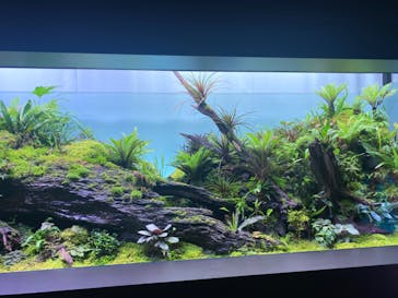 AOAO SAPPOROに投稿された画像（2023/9/11）