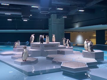 AOAO SAPPOROに投稿された画像（2023/9/11）