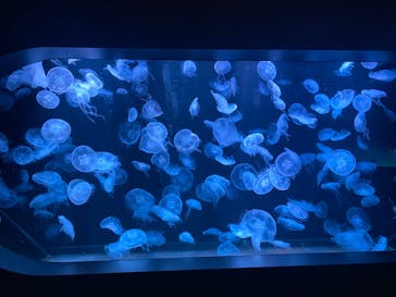 AOAO SAPPOROに投稿された画像（2023/9/11）