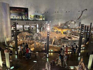 福井県立恐竜博物館に投稿された画像（2023/9/12）