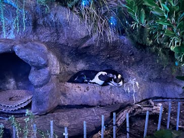 サンシャイン水族館に投稿された画像（2023/9/12）