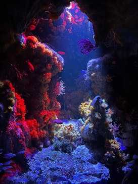 サンシャイン水族館に投稿された画像（2023/9/12）