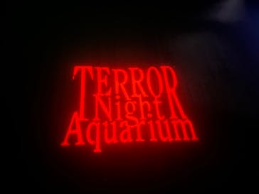 サンシャイン水族館に投稿された画像（2023/9/12）