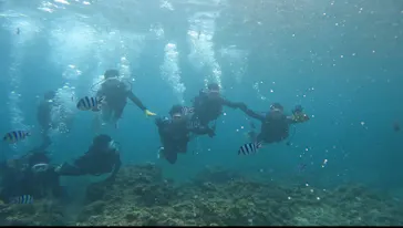 武藤潜水に投稿された画像（2023/9/12）