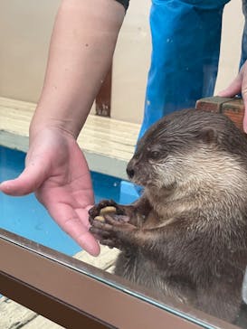 ゼロ距離水族館 伊勢シーパラダイスに投稿された画像（2023/9/12）
