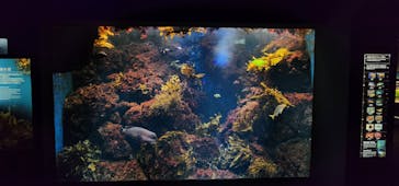 新江ノ島水族館に投稿された画像（2023/9/12）