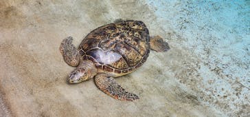 新江ノ島水族館に投稿された画像（2023/9/12）