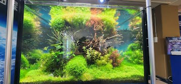 新江ノ島水族館に投稿された画像（2023/9/12）