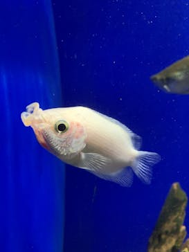 サンシャイン水族館に投稿された画像（2023/9/12）