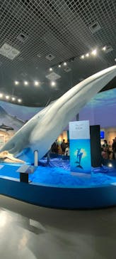 特別展「海　―生命のみなもと―」（国立科学博物館）に投稿された画像（2023/9/12）